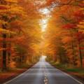 Fall Travel Style Trends: Cozy, Chic & Carry-On Friendly